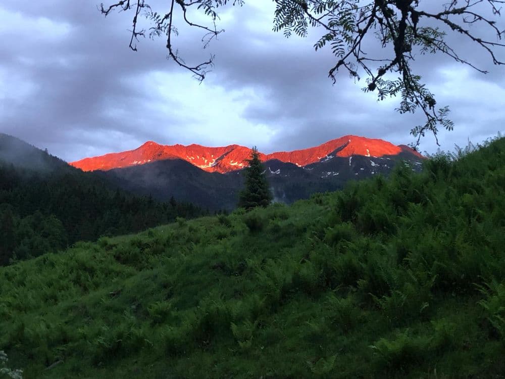 Evening atmosphere, Kelchsau Kitzbühel Alps