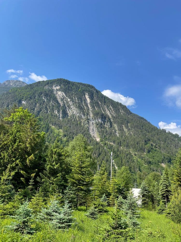 Berge mit Wiese und Wald davor