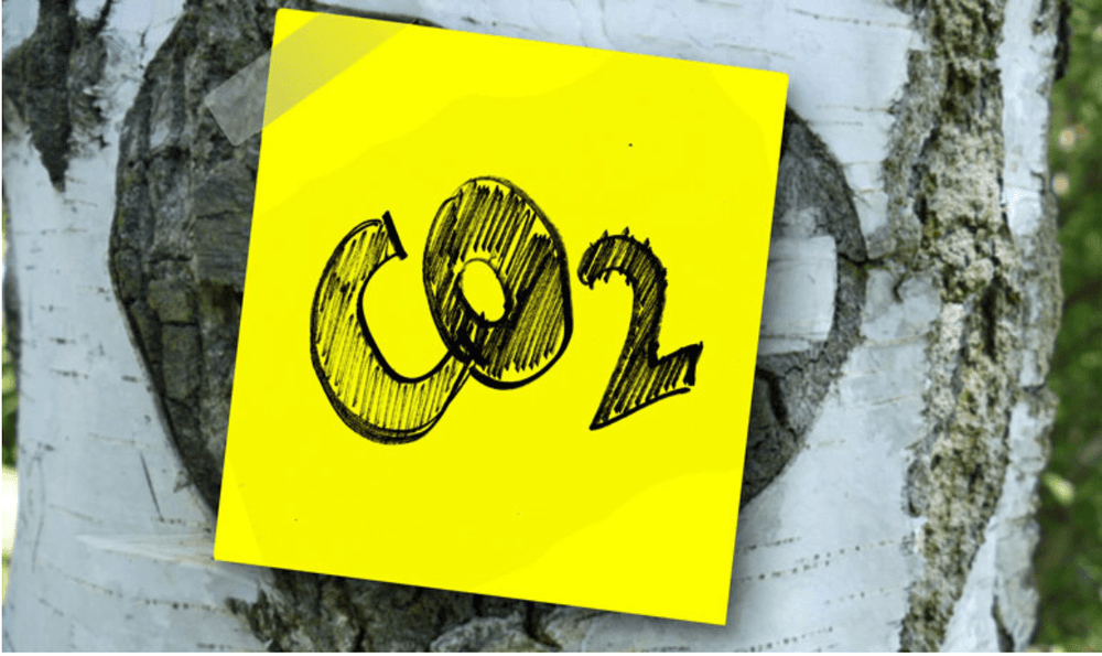 CO₂ Text an einem Baum