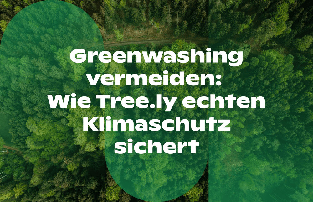 Wald-Bild mit Slogan