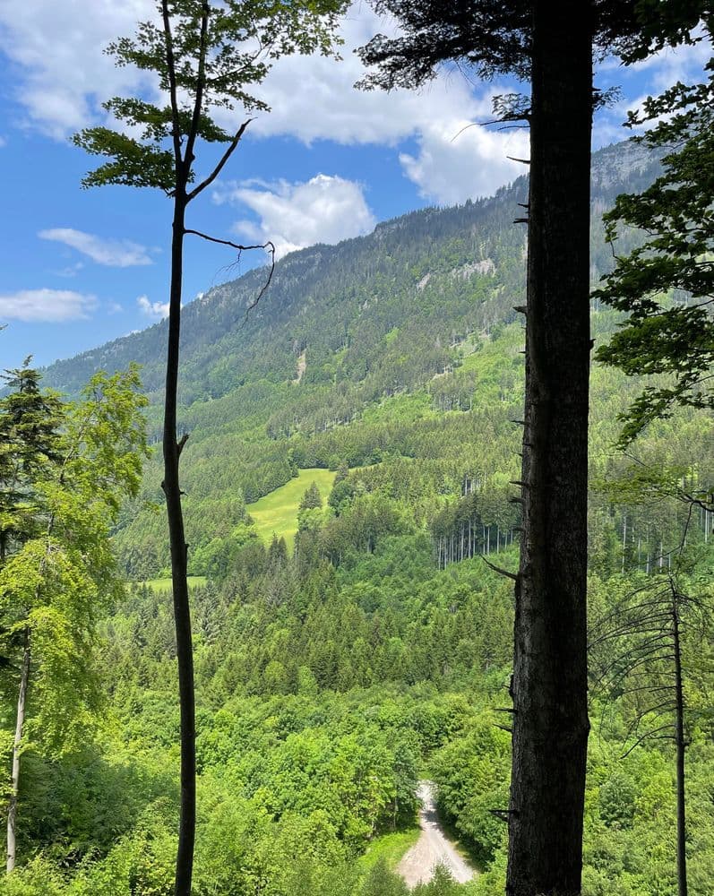 Blick auf die Berge