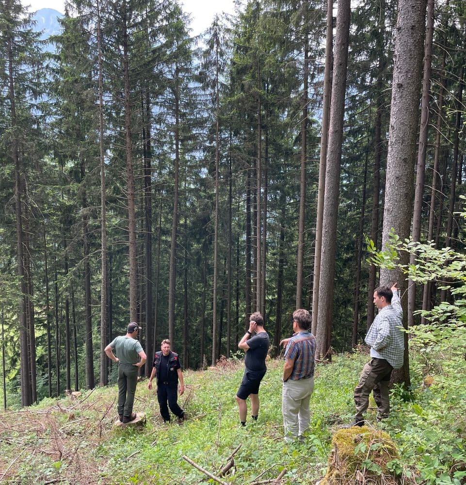 men standing in the forest