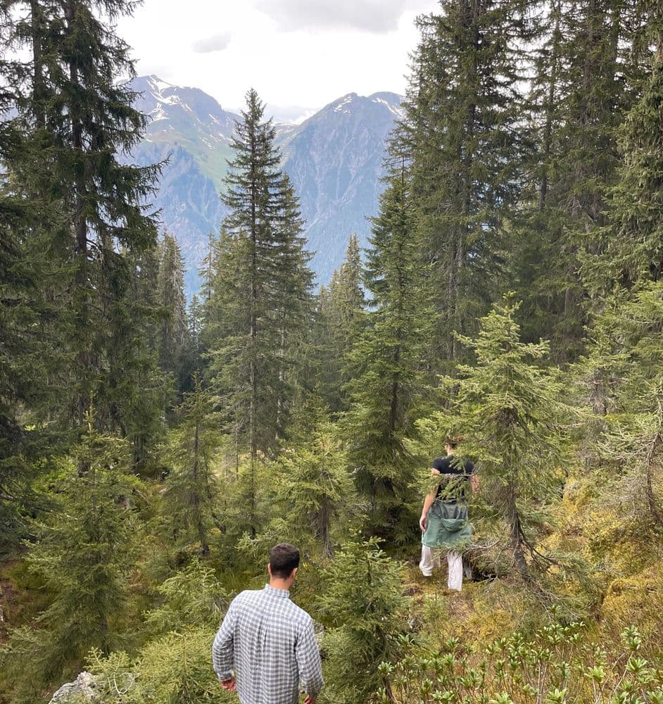 menschen die durch den wald laufen