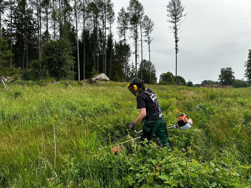 forestworker-image