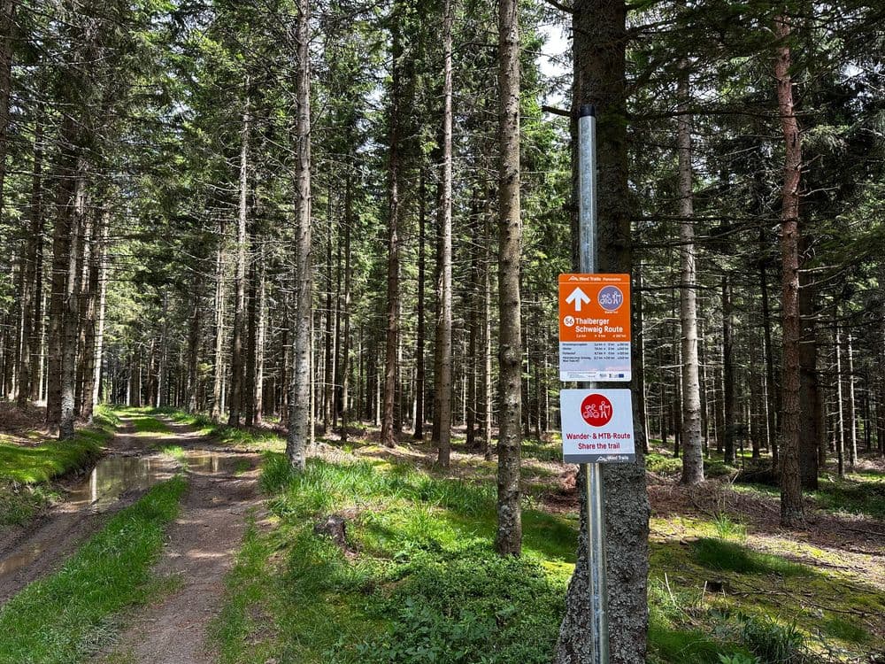 Mountain bike sign in the forest