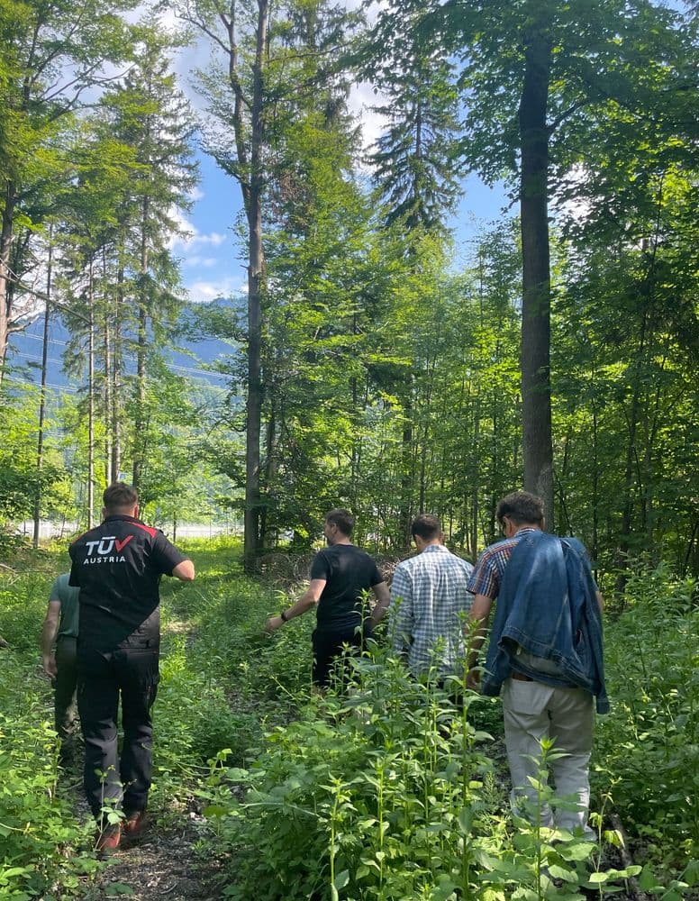 men standing in the forest