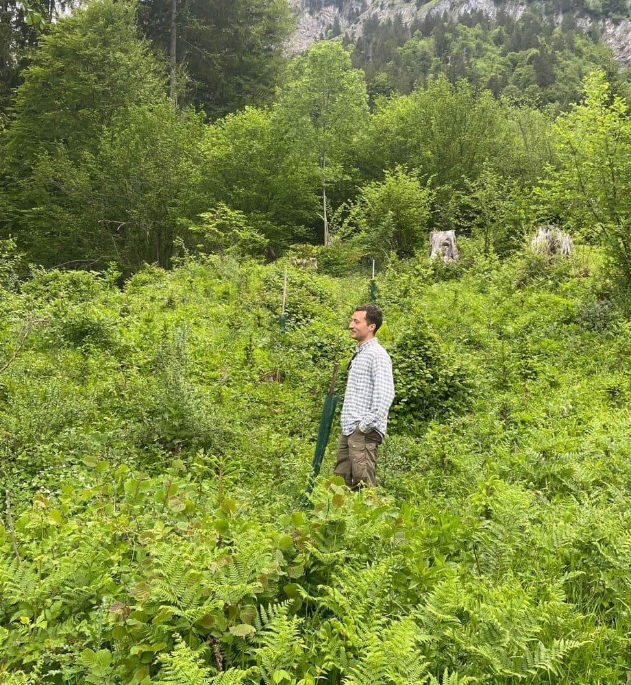 men standing in the forest