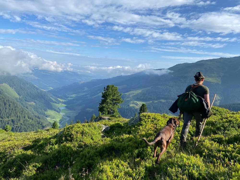 View out of the valley