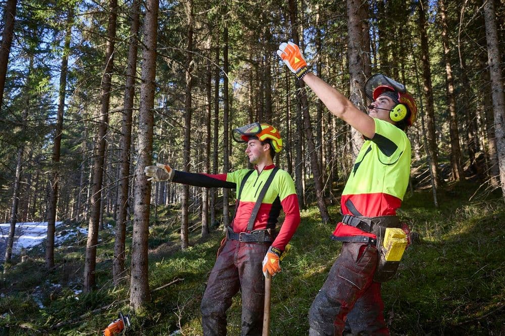 Foresters-Image
