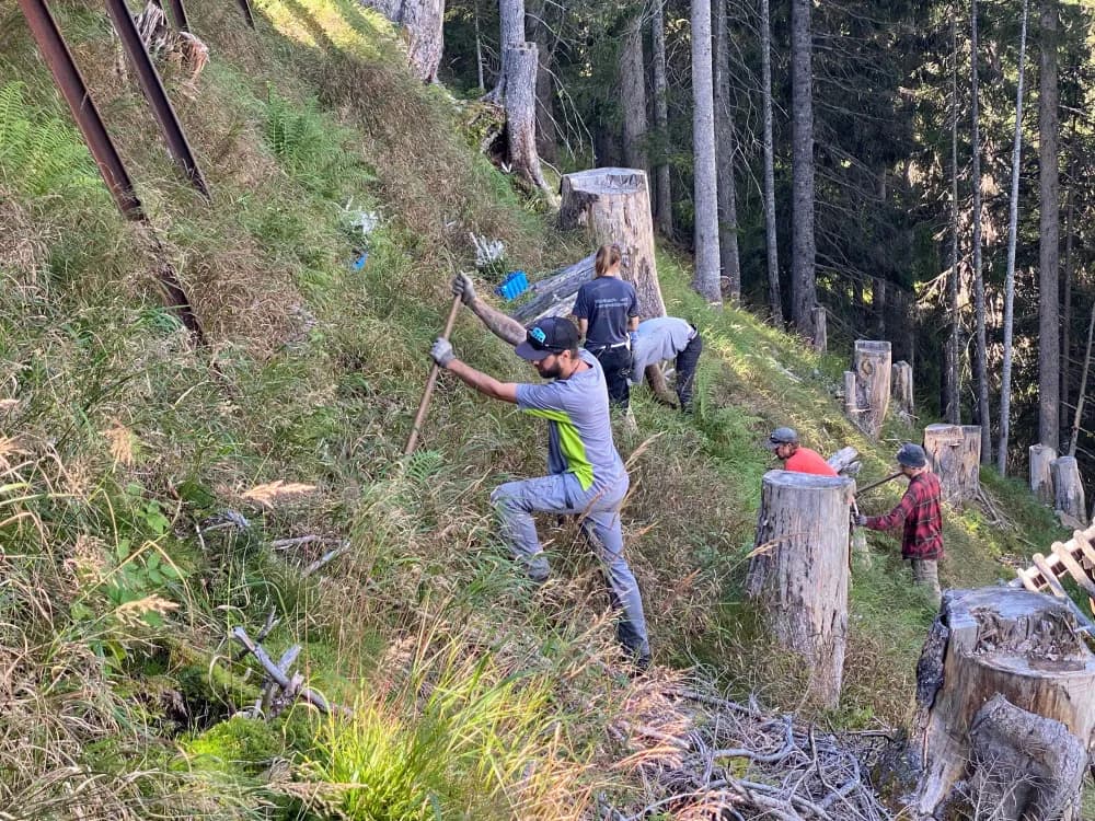 Menschen, die in der forstwirtschaft in vorarlberg österreich arbeiten