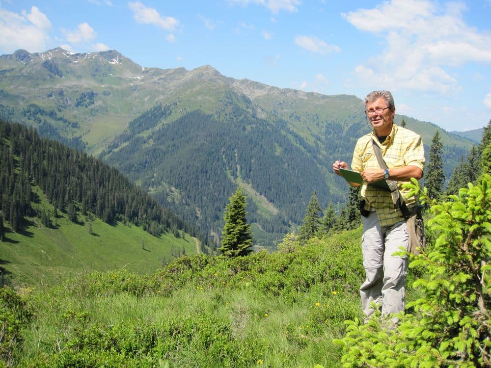 Carrying out the forest inventory