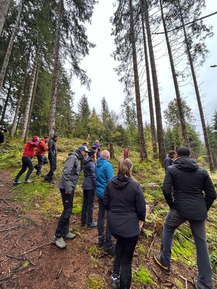 Team befindet sich im Wald