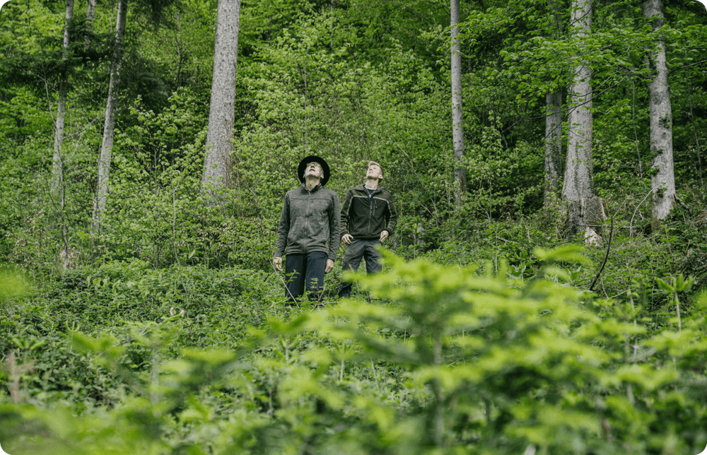 zwei Männer die im Wald stehen und nach oben schauen