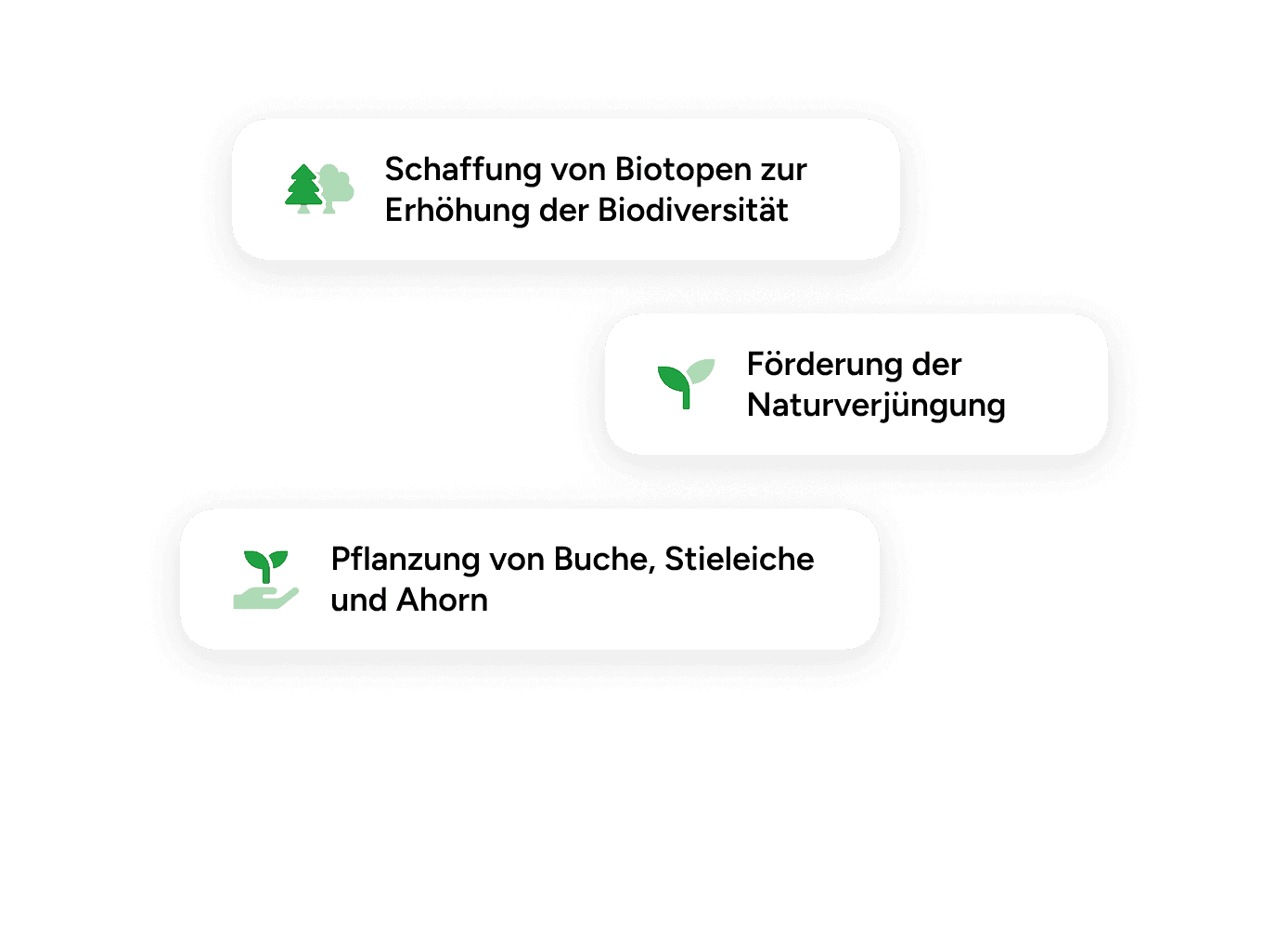 Maßnahmen aus dem Projekt Juliusspital