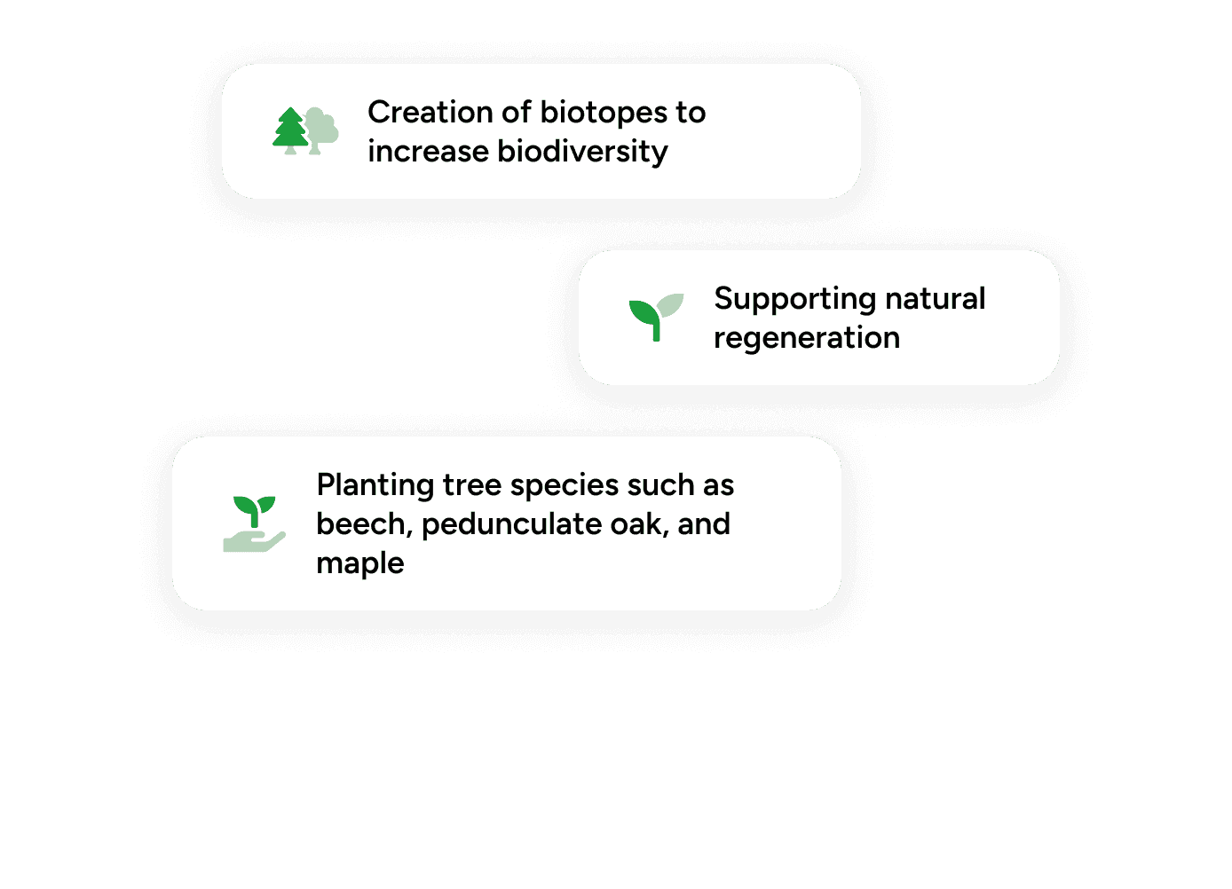 Maßnahme Projekt Juliusspital