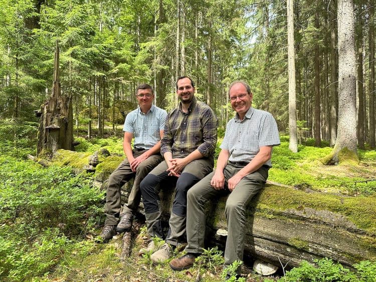 image Forestry office Kinsky Burg Heidenreichstein