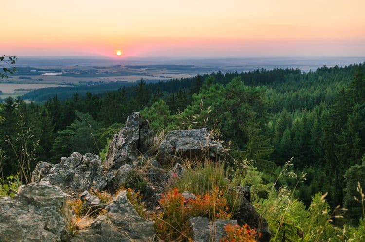 Sunset in the forest