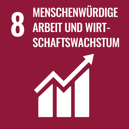 SDG 8