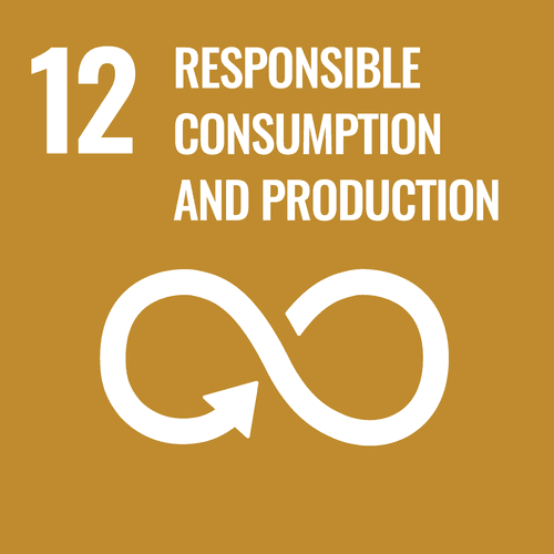 Logo SDG 12, responsible consumption and production