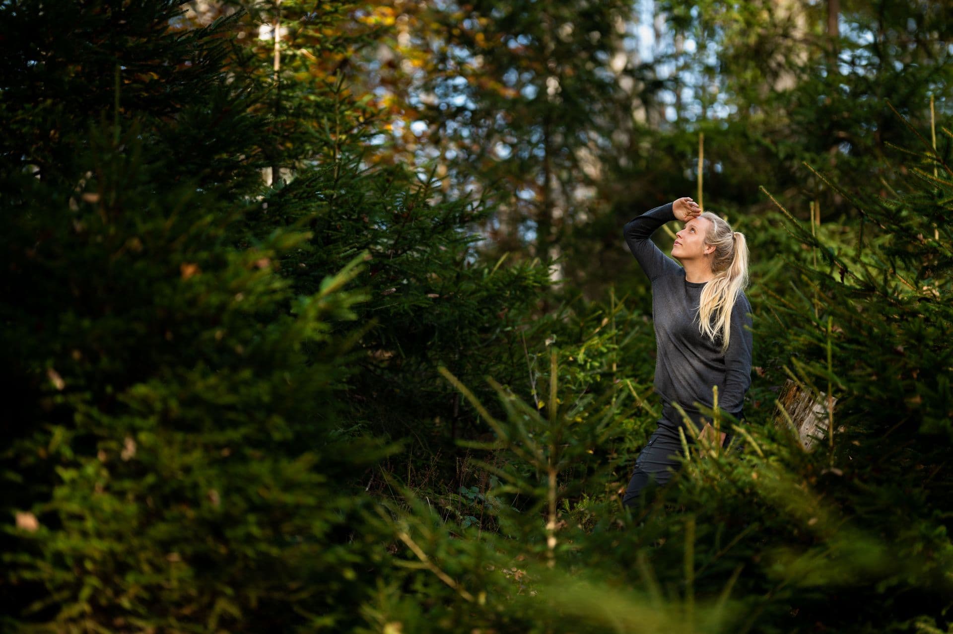 marie die im wald steht