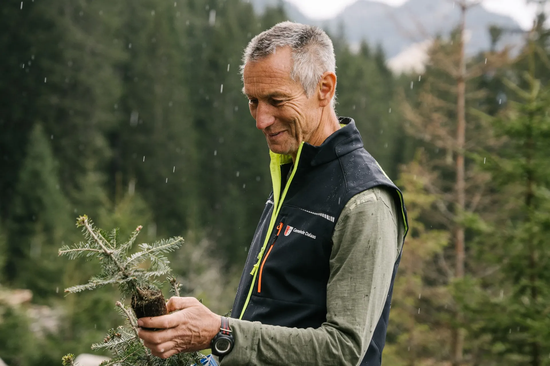 Man standing in the forest holding seedling