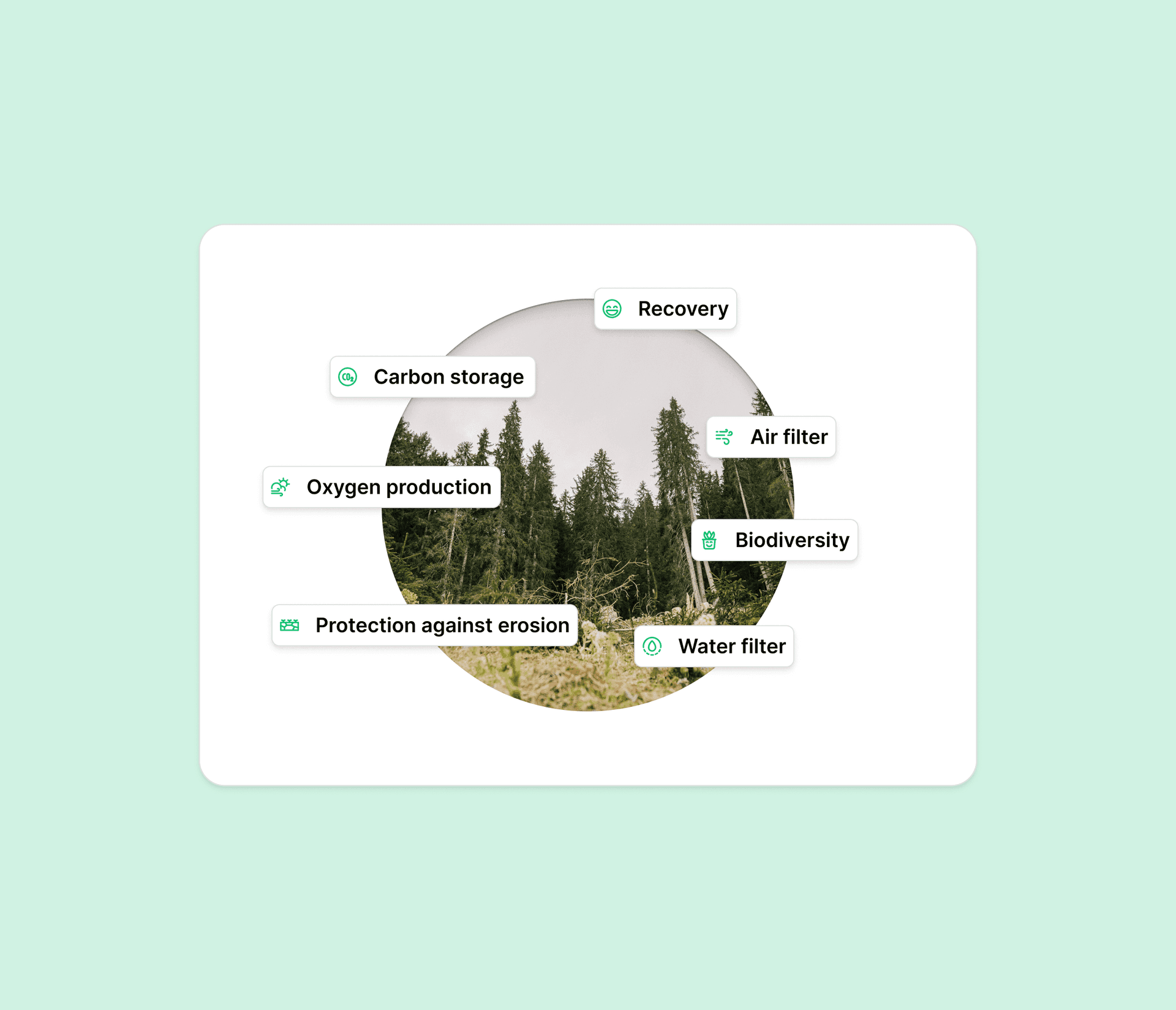 Picture with different ecosystemservices