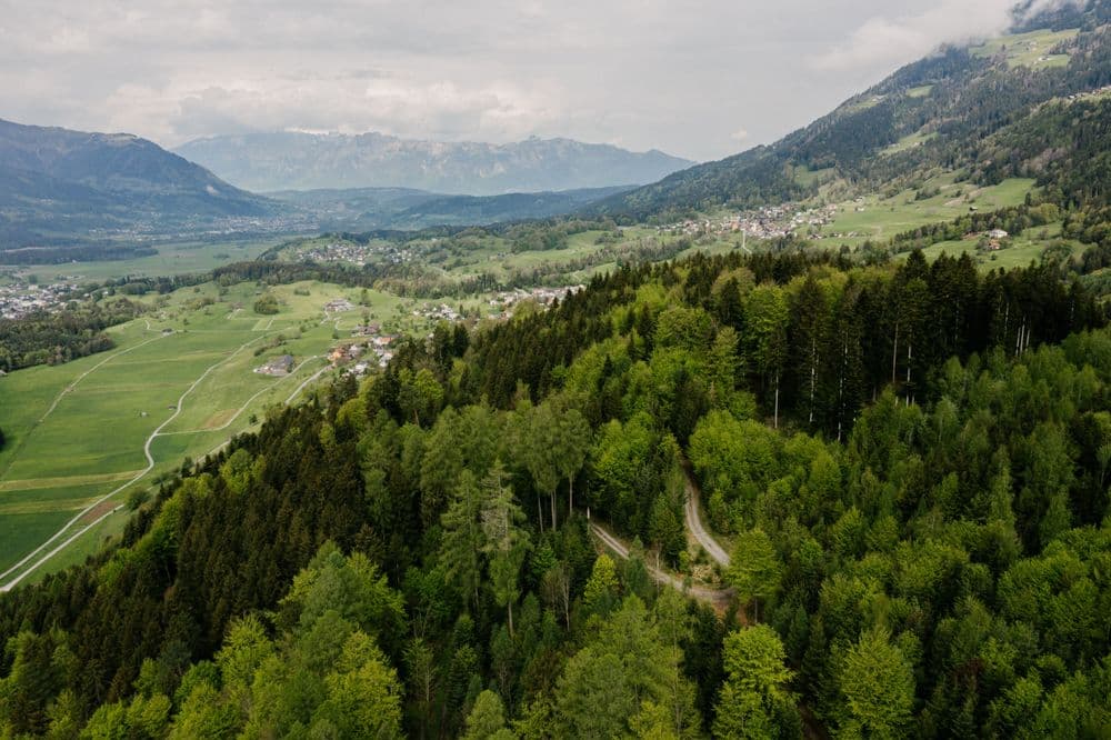 Drohnen Aufnahme mit Wald und Landschaft