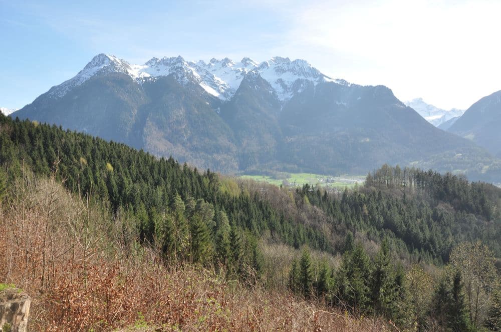 View of the mountains