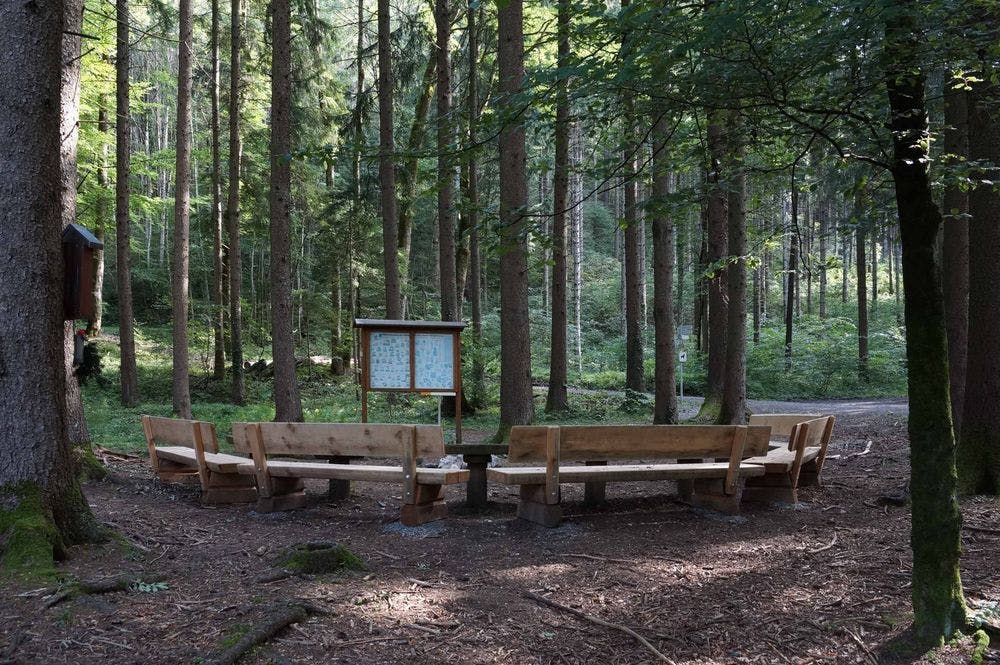 Sitting circle in the forest