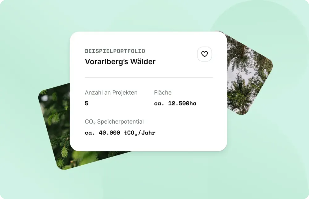 Beispielportfolio des Vorarlberger Waldes