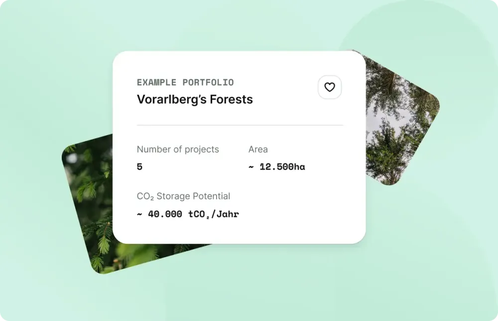 Example portfolio of the Voarlberger Forest