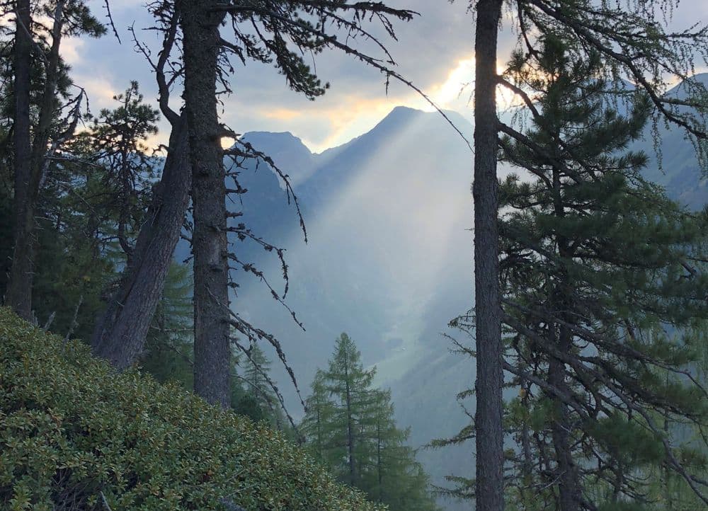 Panoramic view into the valley