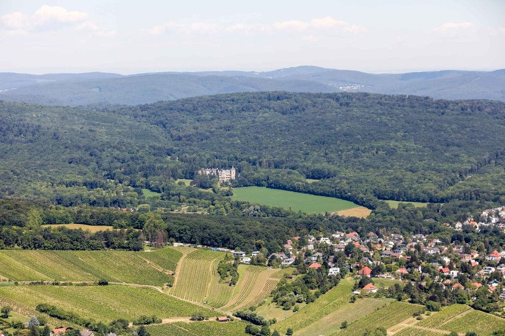Panoramic view of the extensive forest district