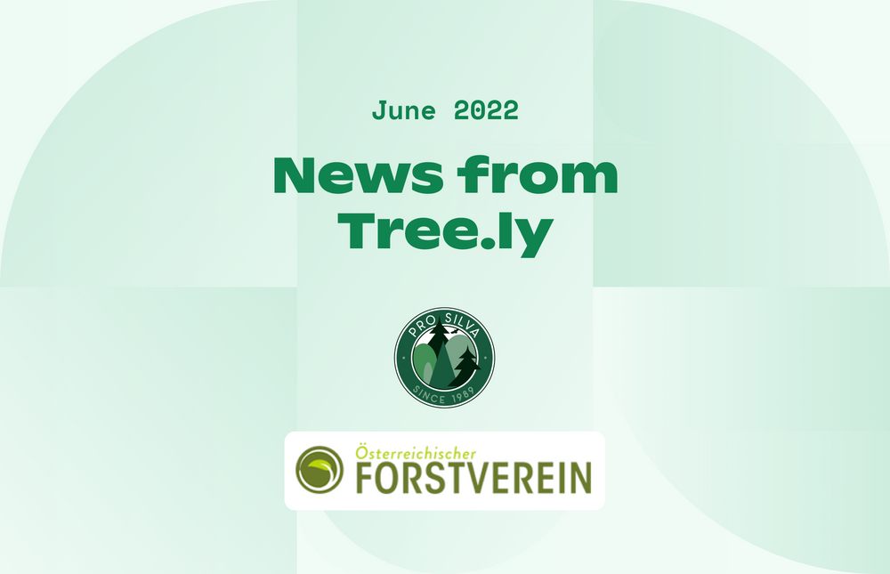An image with the Pro Silva Logo and the Österreichischer Forstverein Logo and the Text "News from Tree.ly"