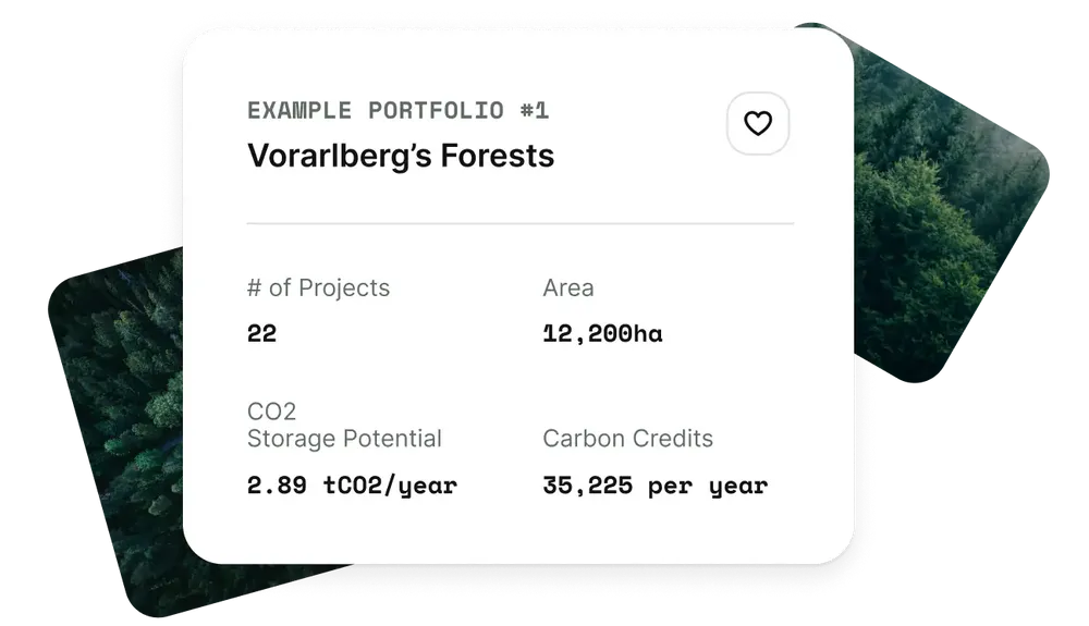 Example portfolio of the Voarlberger Forest