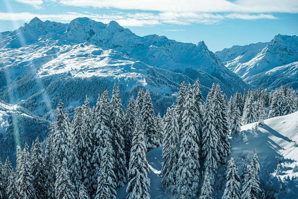 View an snow-covered trees with mountains