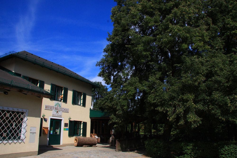 Forest school vienna