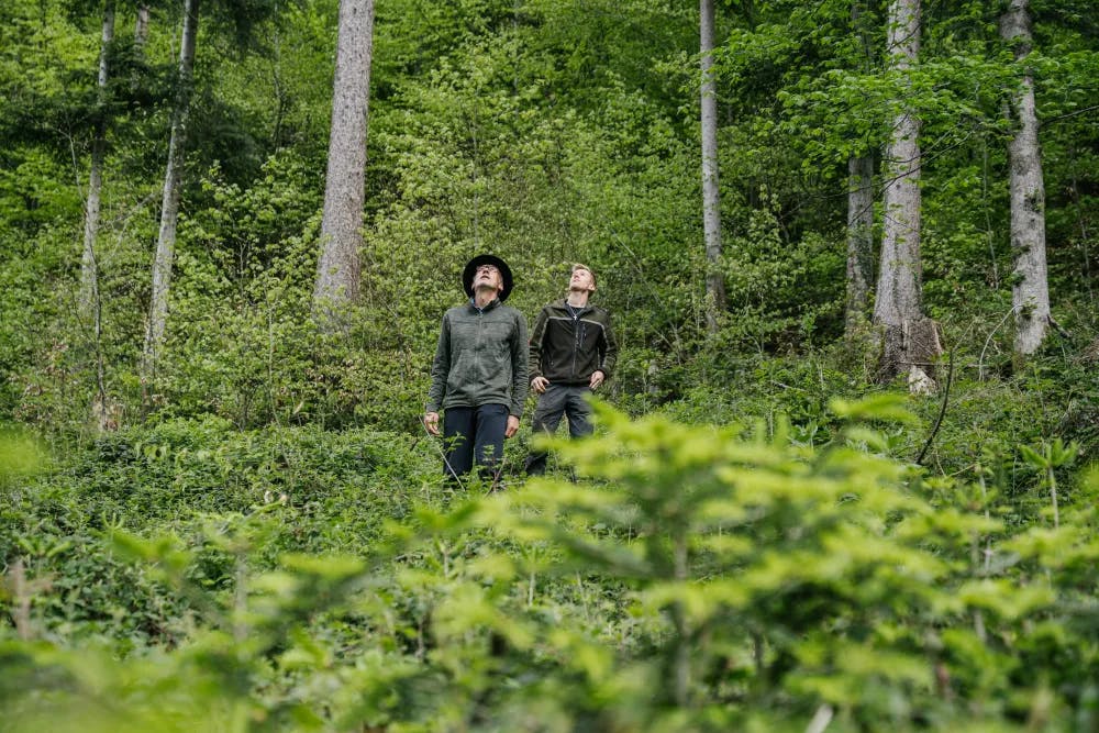 Zwei Männer stehen im Wald und blicken nach oben.