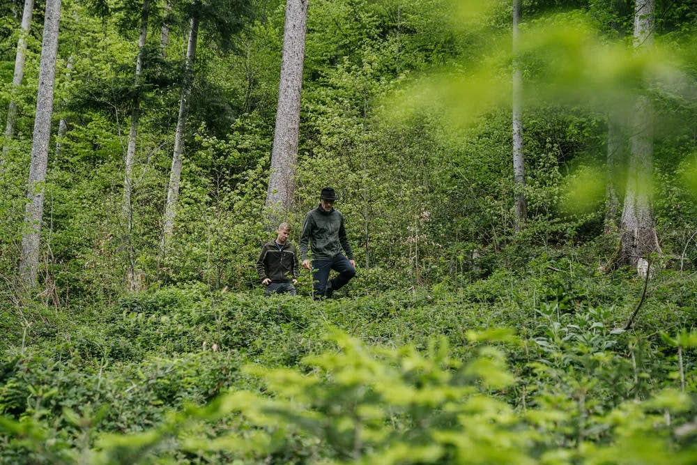 Mitarbeiter der FBG Jagdberg bei einem Spaziergang durch den Wald