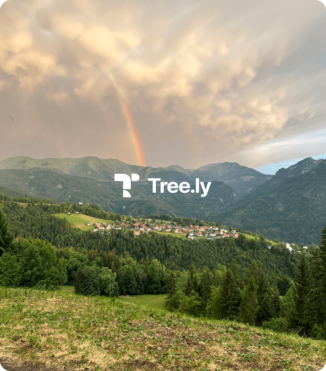 Mountains and rainbows with tree.ly logo