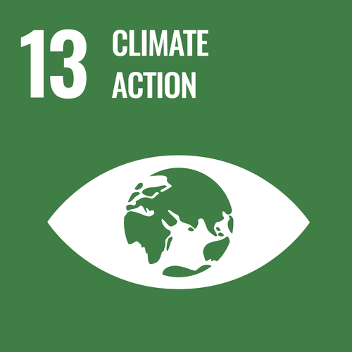 Logo of SDG13, Climate Action