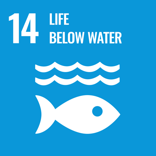The icon of SDG 14 "Life Below Water"