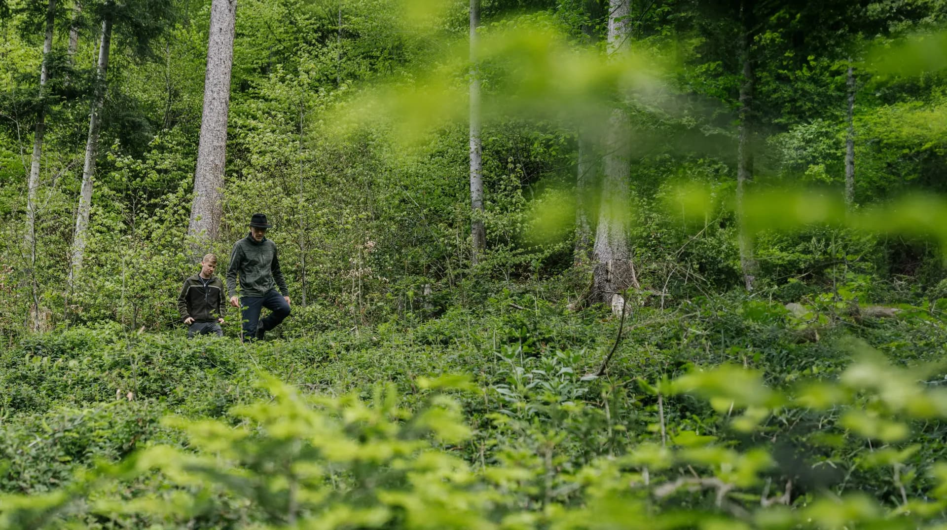 Menschen die im Wald stehen