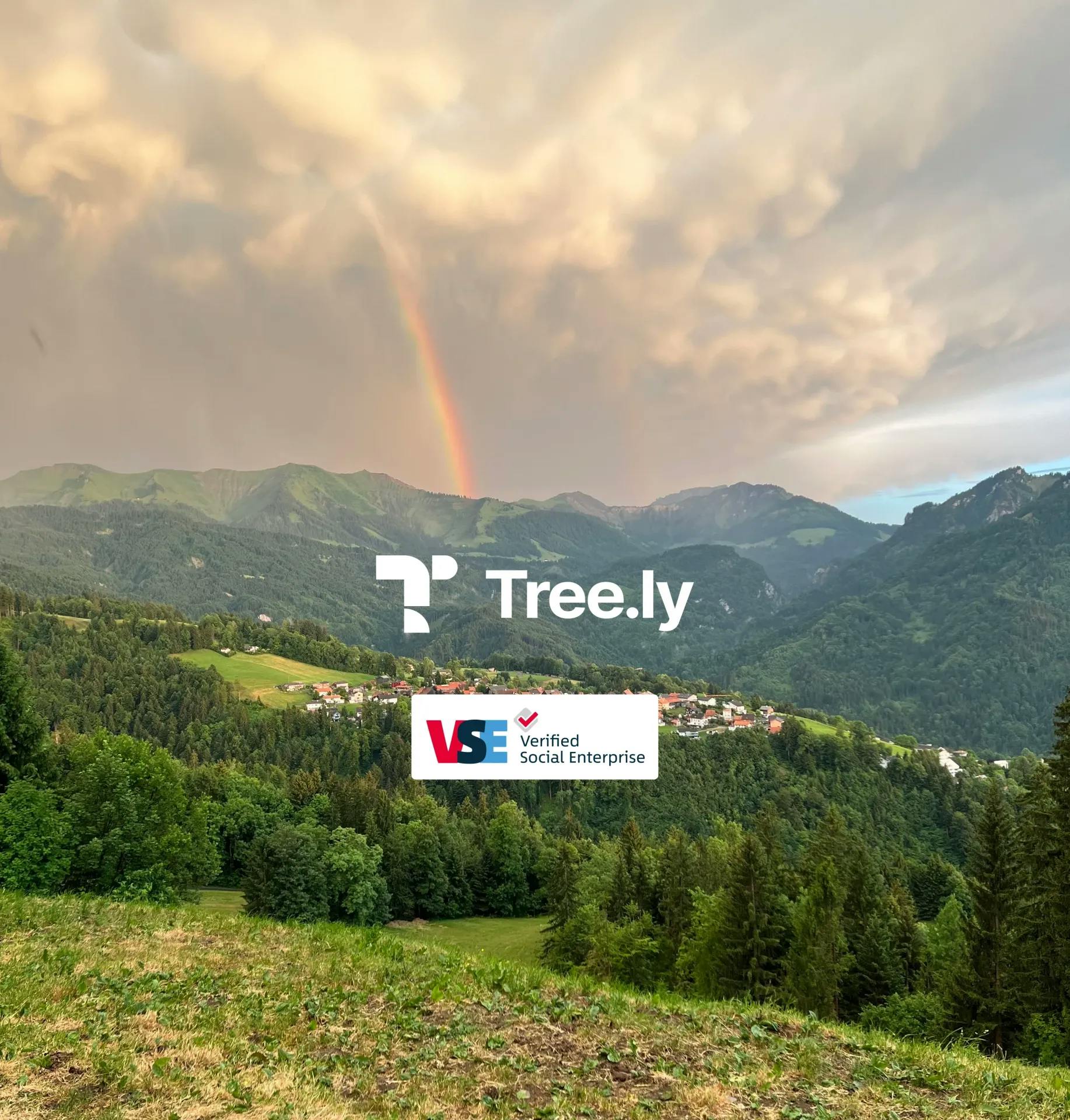 Tree.ly Logo und Verified Social Enterprise Label