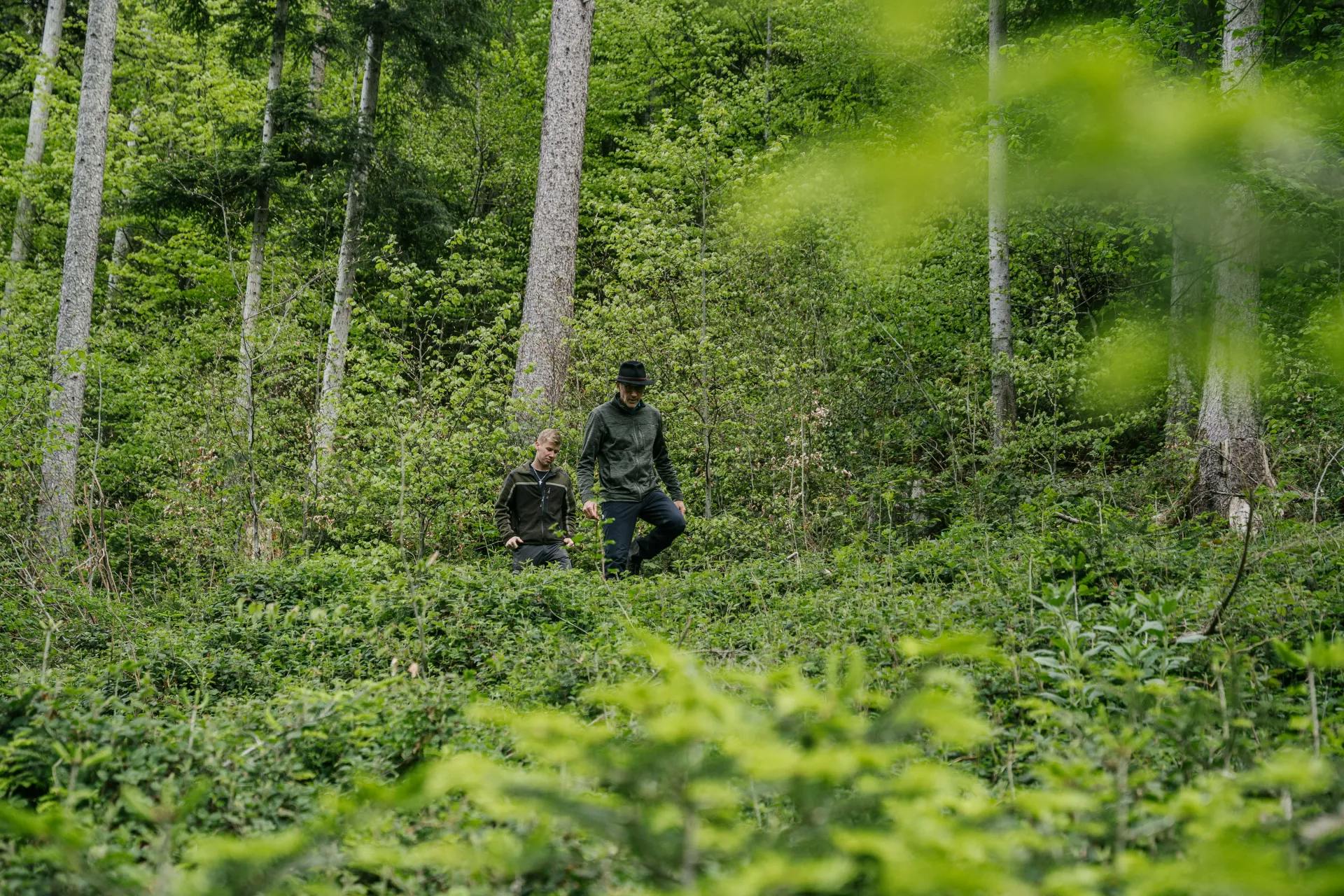 Wälder der FBG Jagdberg, zwei Männer gehen durch den Wald im Hintergrund