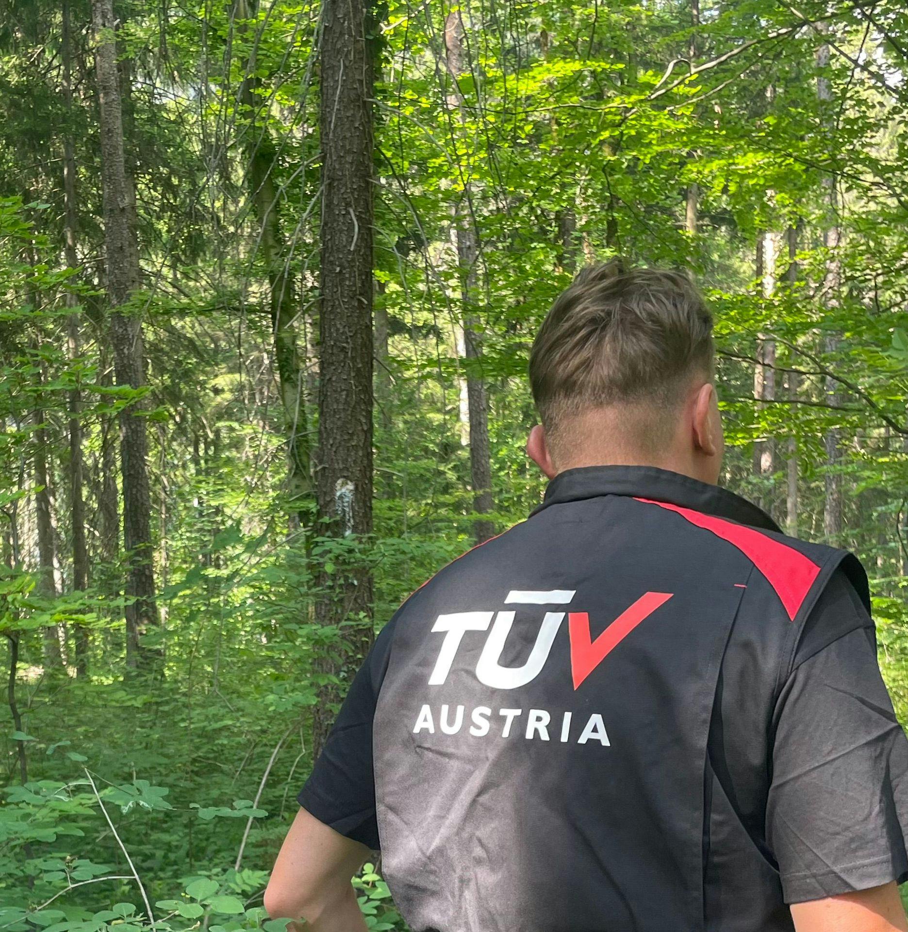Auditor with TÜV vest